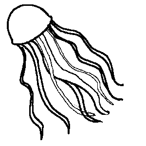 J is for jellyfish Animal alphabet to teach your child to read
