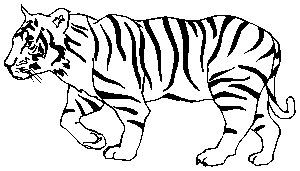 T is for tiger Animal alphabet to teach your child to read