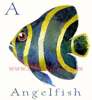 A - the first letter in the Animal Alphabet - is for Angelfish