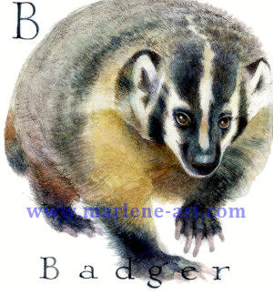 B - the second letter in the Animal Alphabet - is for Badger