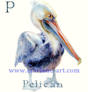 P - the 16th letter in the Animal Alphabet-is for Pelican