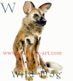 W - the 23rd  letter in the Animal Alphabet-is for Wild Dog