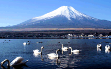 Mt. Fuji