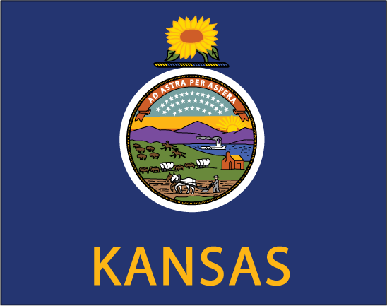 Kansas state flag